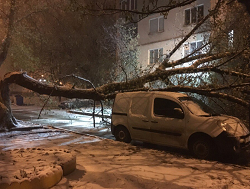 Непогода в Харькове: ситуация в школах и на дорогах