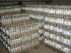 В Харькове изъяли больше 7,5 тысяч контрабандных бутылок элитного спиртного