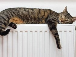 В Харькове 75% домов уже с теплом - мэрия