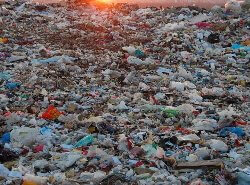 Тонны пластика, стекла и мусора: под Харьковом третий месяц чистят реку