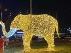 На улицах Харькова появились светящиеся "животные" (фото)