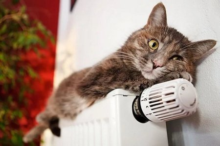 Тепло в доме: как быть, если проблемы с централизованным отоплением