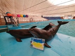 Из харьковского дельфинария вывезли почти всех животных