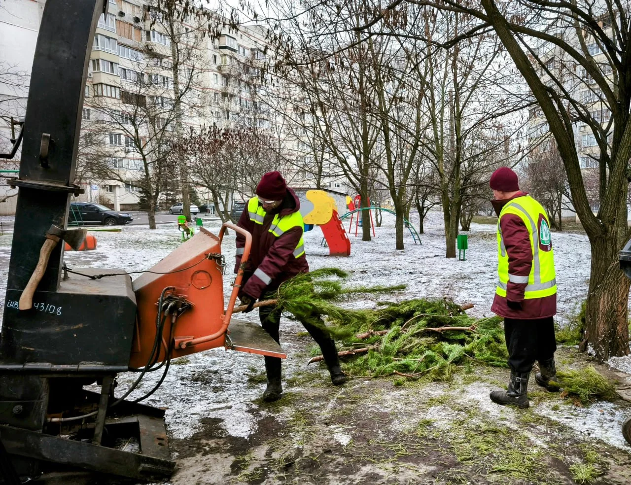 Утилізація ялинок