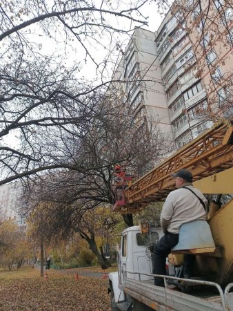 КП «Міськсвітло»