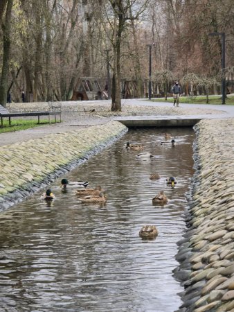 Саржиному Яру встановили ультразвукові відлякувачі пацюків на дитячому майданчику