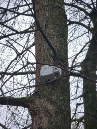 У Саржиному Яру встановили ультразвукові відлякувачі пацюків на дитячому майданчику