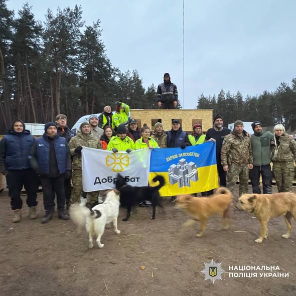 Притулок для тварин