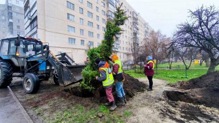 У Харкові створять новий парк на місці знищеного соснового бору.
