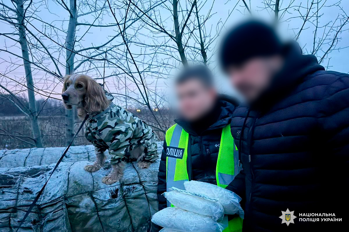 Службовий собака