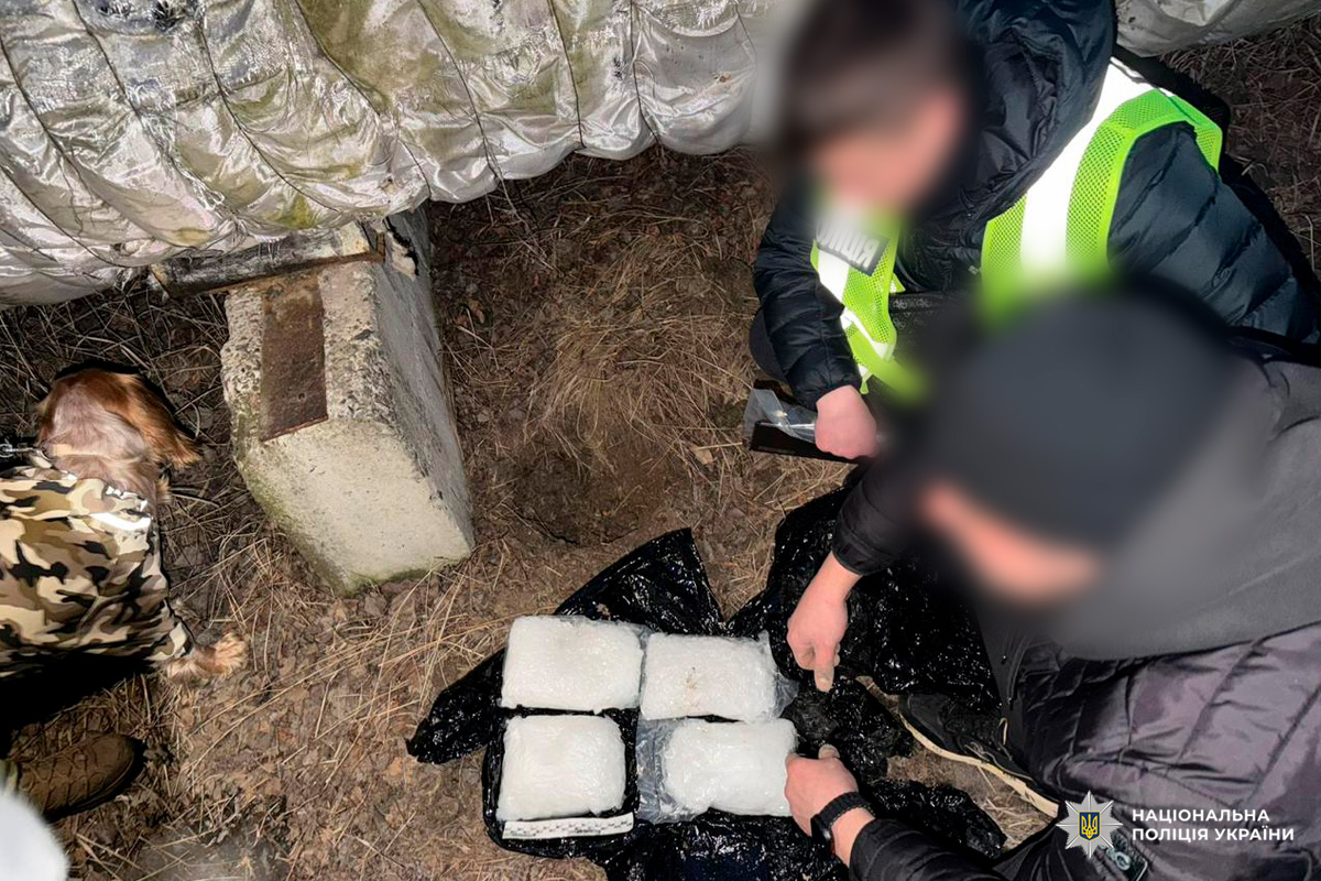 Службовий собака