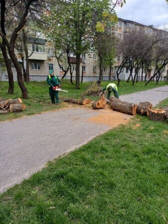 Наслідки буревію у Харкові