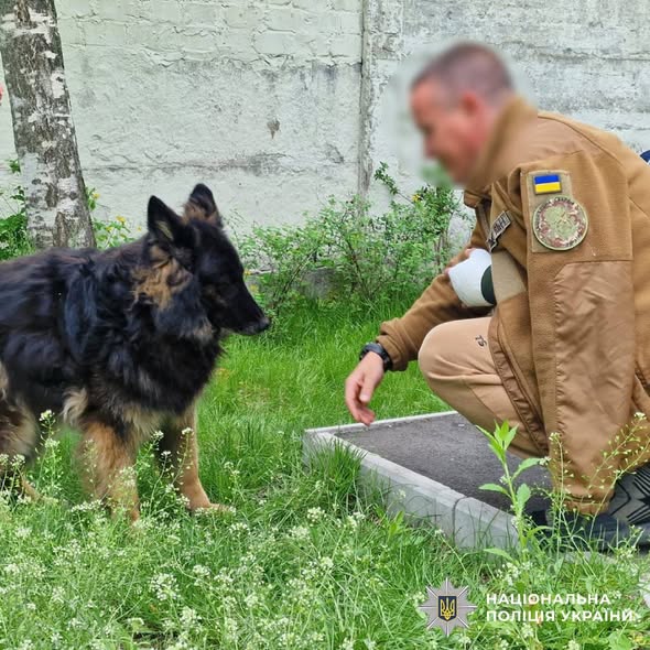Психологи та кінологи поліції Харківщини провели каністерапію