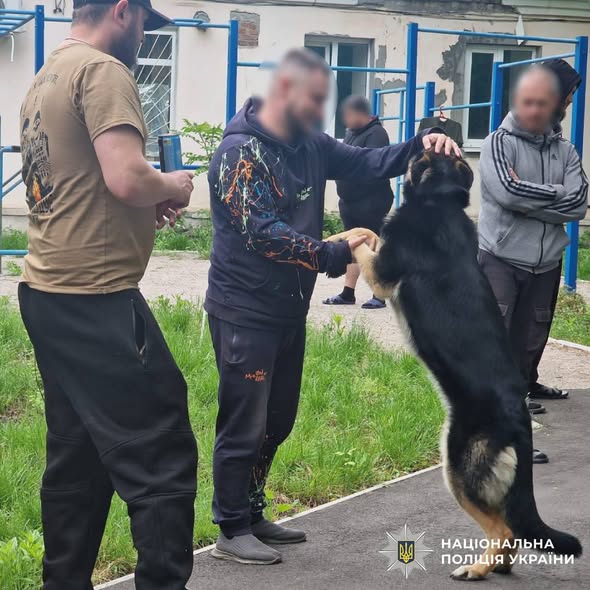 Психологи та кінологи поліції Харківщини провели каністерапію
