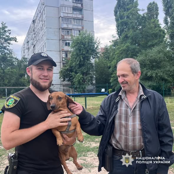 Турбота про тих, кого приручили: поліція нагадує громадянам про відповідальне ставлення до тварин та правила їх утримання