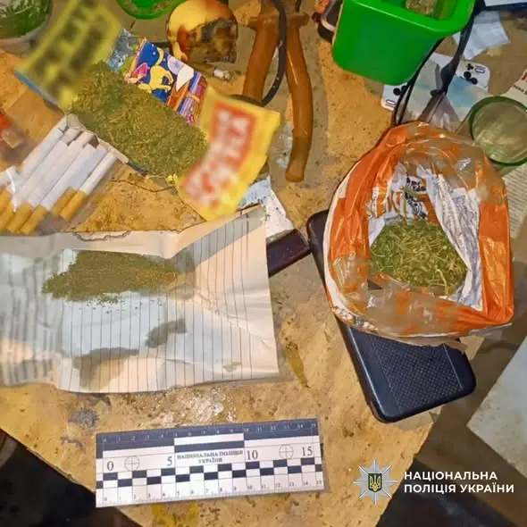 Поліцейські Балаклійщини припинили незаконне вирощування та обіг наркотичних засобів