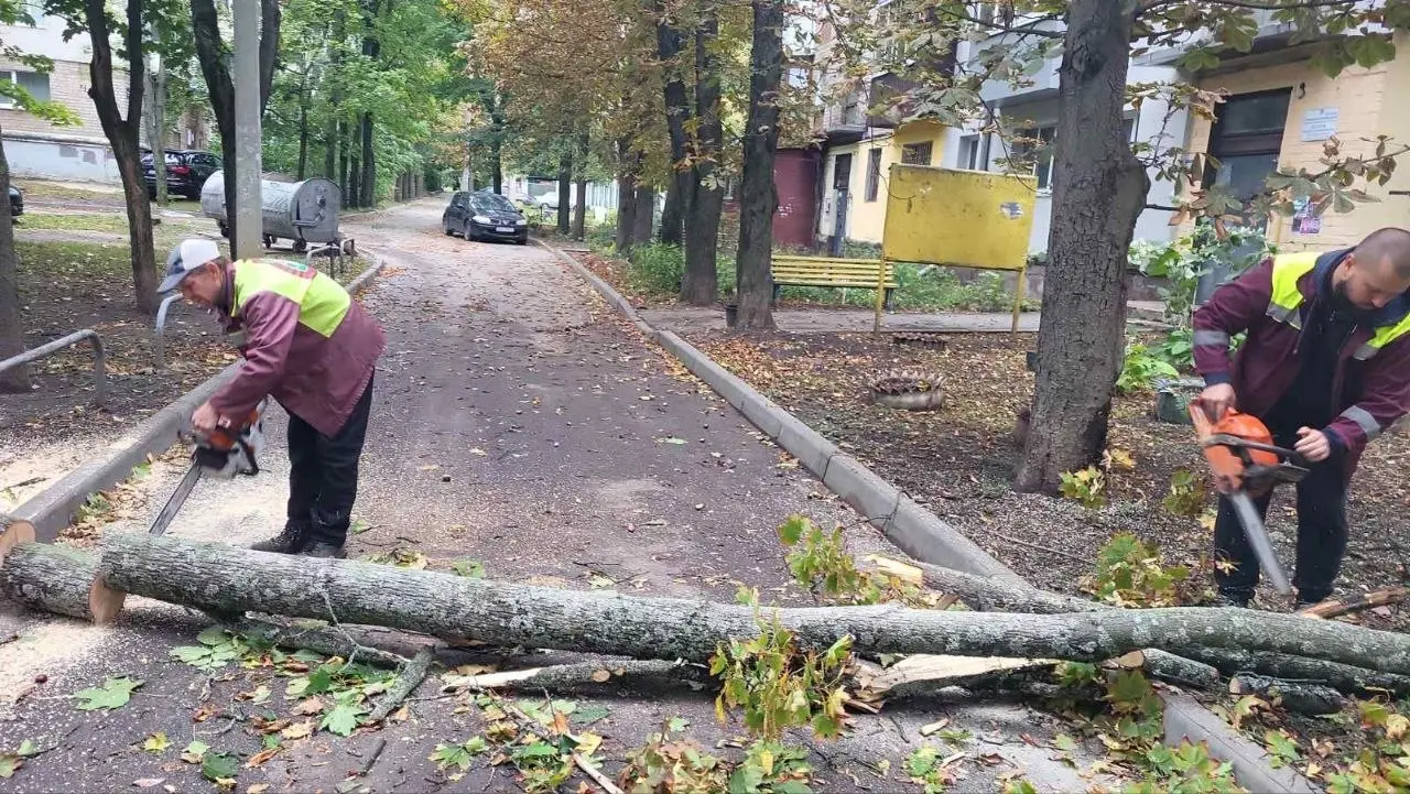 У Харкові усувають наслідки негоди.