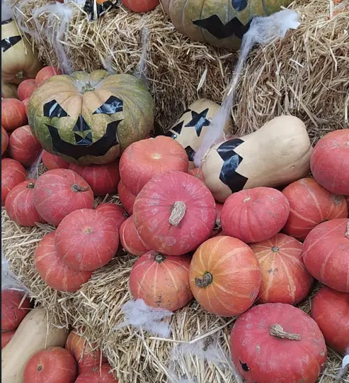 Хелловін